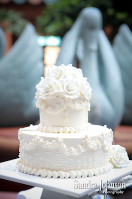 Best Orlando Wedding photographer - Sandra Johnson (SJFoto.com)
